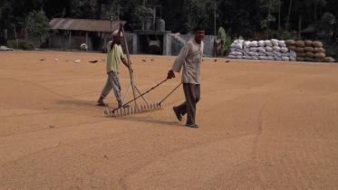 Lalmonirhat rice mills.jpg