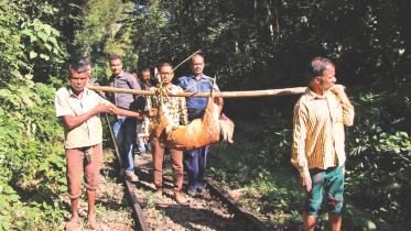 Lawachhara forest 1.jpg