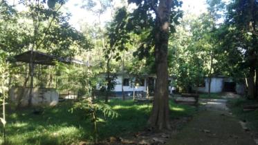 Lawachhara Wildlife Rescue Centre 1.jpg