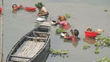 Livelihood oyster.jpg