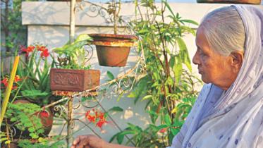 Loving and Living with Plants