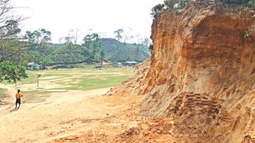 Malnichhara Tea Garden 1.jpg
