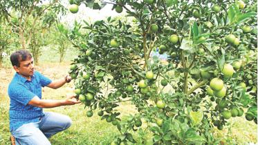 Malta cultivation sees.jpg