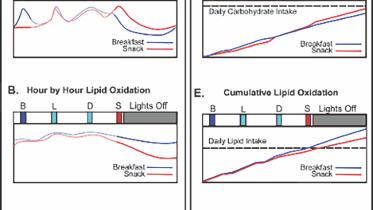 manage your weight.jpg
