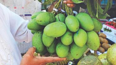 toxic chemicals in mangoes