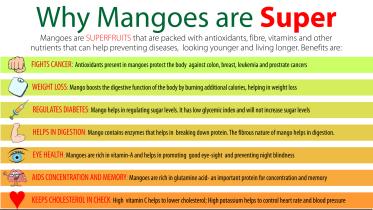 Mango-part2.jpg