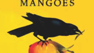 mangos.jpg