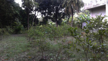Manikganj-1WB.jpg