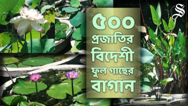 manikganj_garden_thumbnail.png