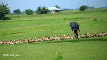 MDB photo June 11.jpg