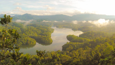 message-_biological_diversity (1).png