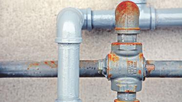 Monkeys and Monsters