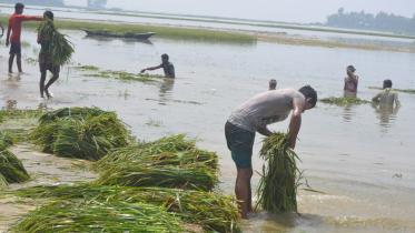 Moulvibazar-flood-pic-web.jpg
