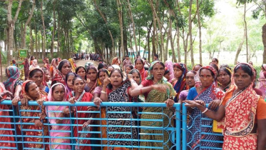 Moulvibazar tea workers.jpeg