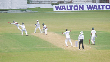 national cricket league.jpg