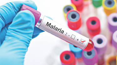 National Malaria Elimination.jpg