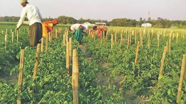 Nepalese farmers.jpg