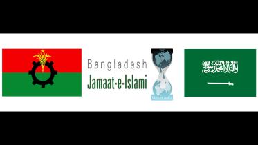 New Wilileaks story photo.jpg