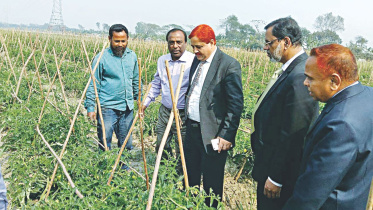 North Bengal Sugar Mill.jpg