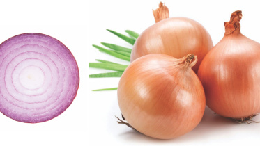 onion.jpg