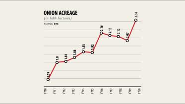 Onion acreage.jpg