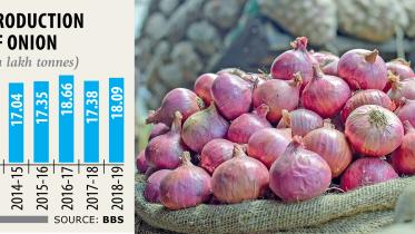 onion self-sufficiency.jpg