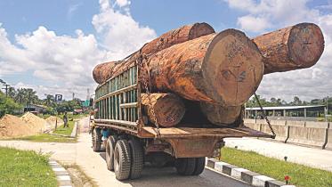 overloaded vehicles.jpg