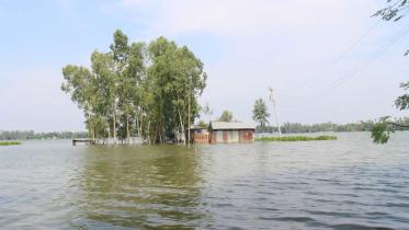 pabna-flood-1.jpg