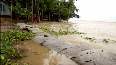 Pabna flood.jpg