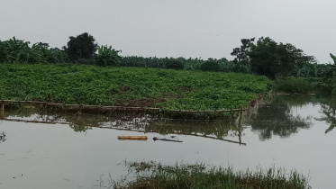 pabna floods.jpg