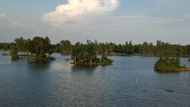 Pabna Photo (Beauty in Chalanbeel)-9.jpg