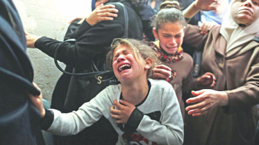 palestine torture.jpg
