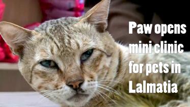 Paw opens mini clinic.jpg