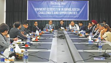 Payment Ecosystem.jpg