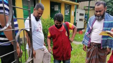 Aedes mosquito larvae