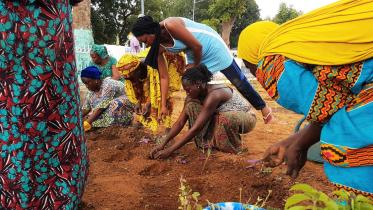 Photo 1 - Micro-gardening .jpg