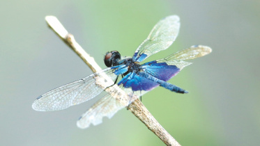 photography exhibition.jpg