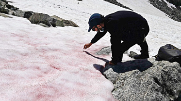 Pink-ice-Alps.jpg