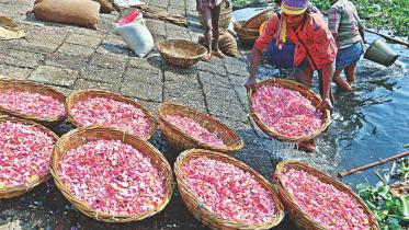 plastic recycle 1.jpg