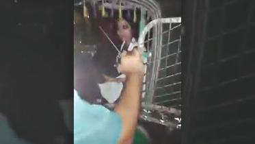 police behaviour.jpg