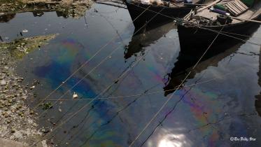 pollution-(3).jpg