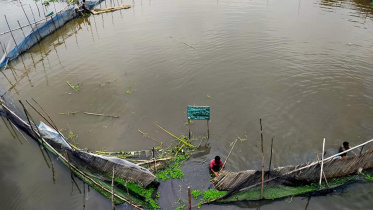pond.jpg