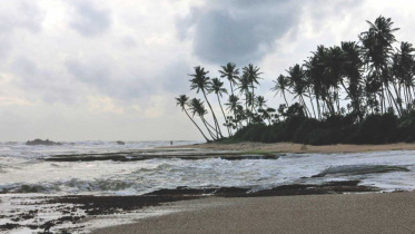 Portuguese Fusion Kingdom