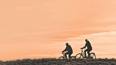 Post-travel melancholia