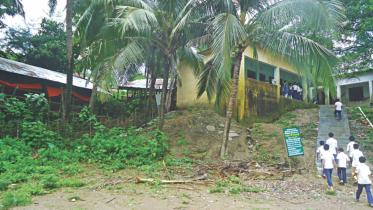 Poultry farm risk.jpg