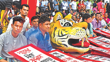 National Committee to Protect Oil, Gas, Mineral Resources, Power and Ports, Dhaka Cholo, March on Dhaka, Campaign against Rampal plant