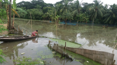 rain bagerhat.jpg