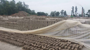 rain damages unbaked bricks.jpg