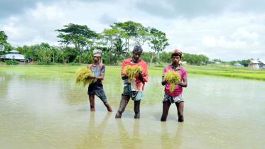Rain spoils aman.jpg