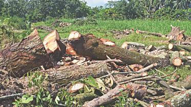 Rajbarihat Dairy.jpg